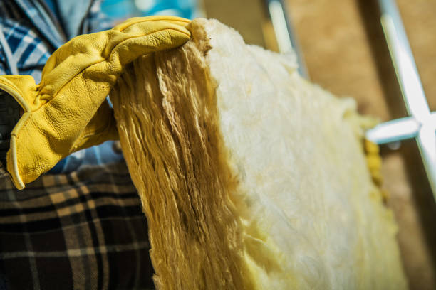 Best Cellulose Insulation in Wheat Ridge, CO